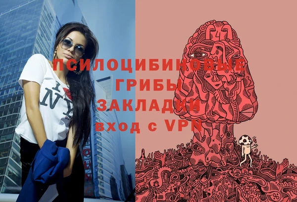 крисы Лабытнанги